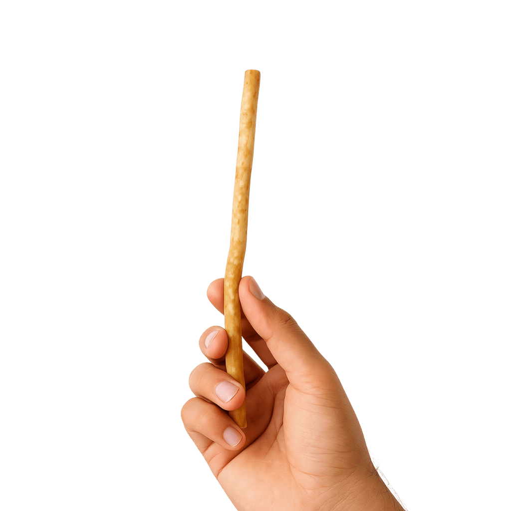 Hand Holding Miswak Stick
