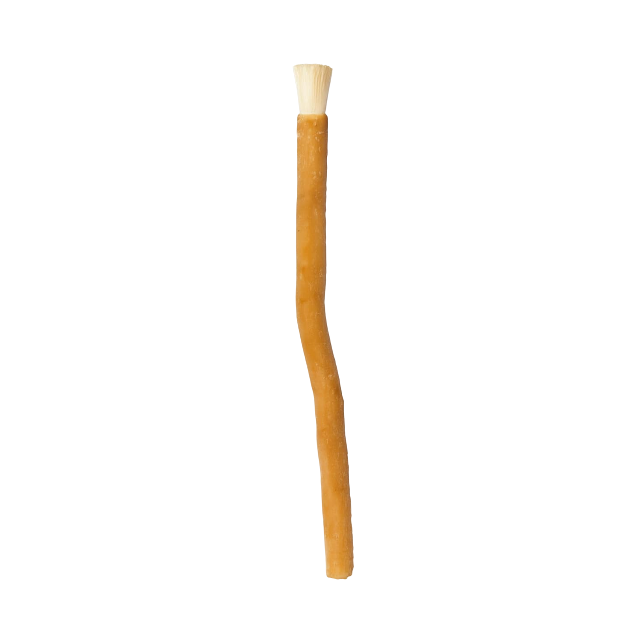 Salvadora Persica Toothbrush Stick